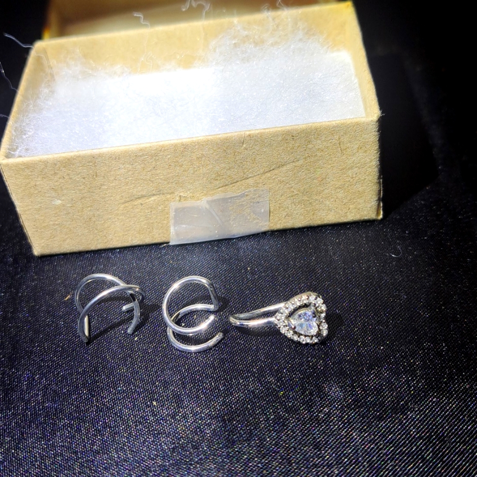 New Nose Rings